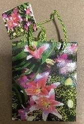 Gift Bag - Small 6" L x 4 3/4" W - Flowers