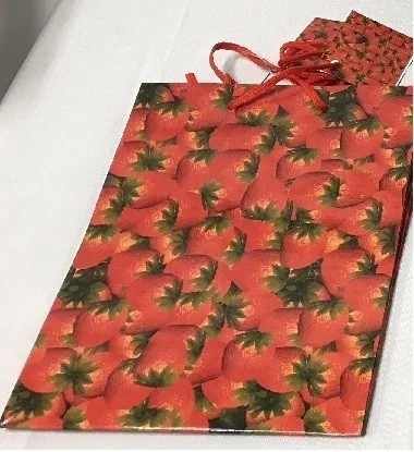 Gift Bag - Medium 9 3/4" L x 8" W - Strawberry